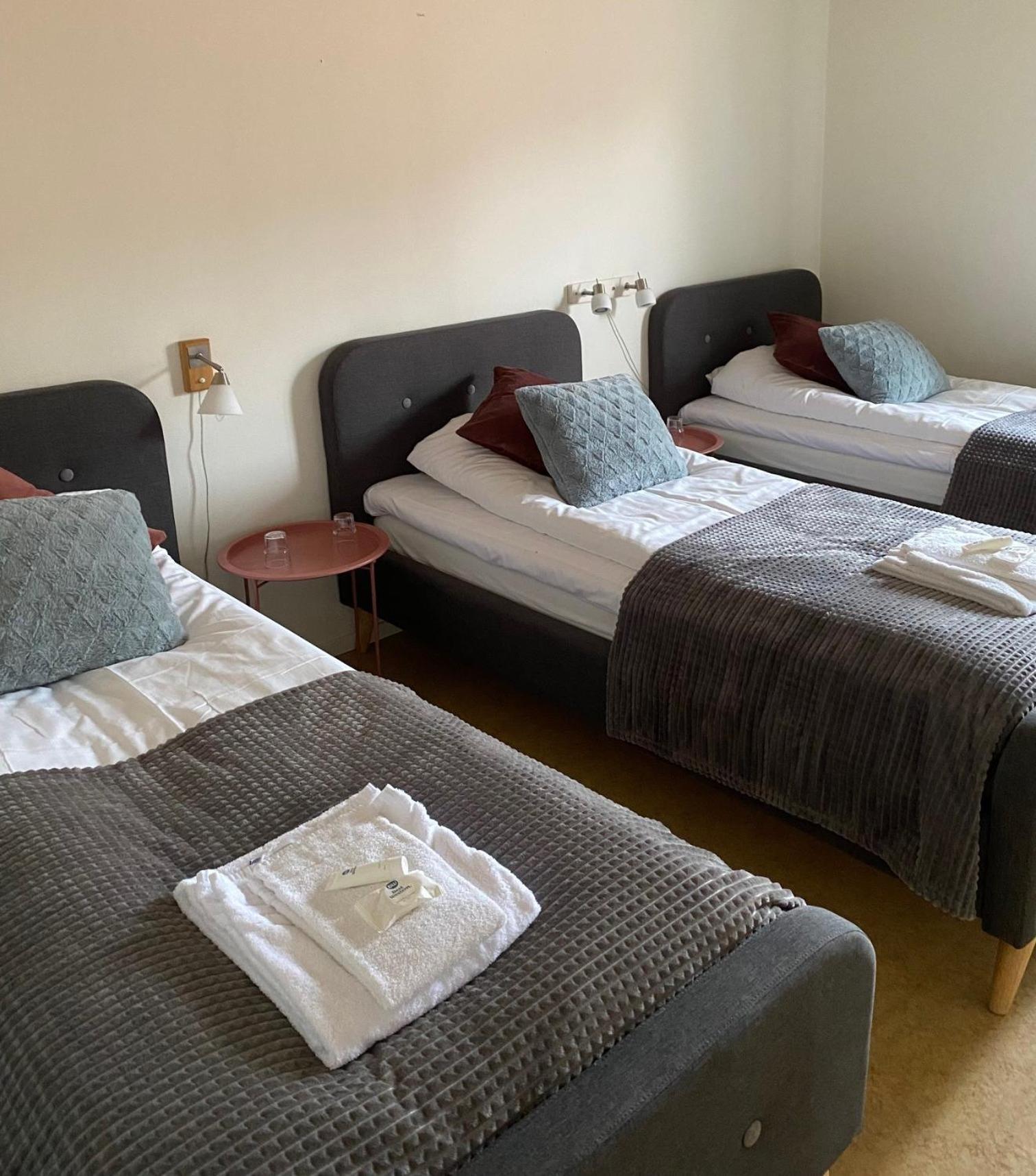 Snoea Bruk Hotell Och Konferens Dala-Jarna Εξωτερικό φωτογραφία