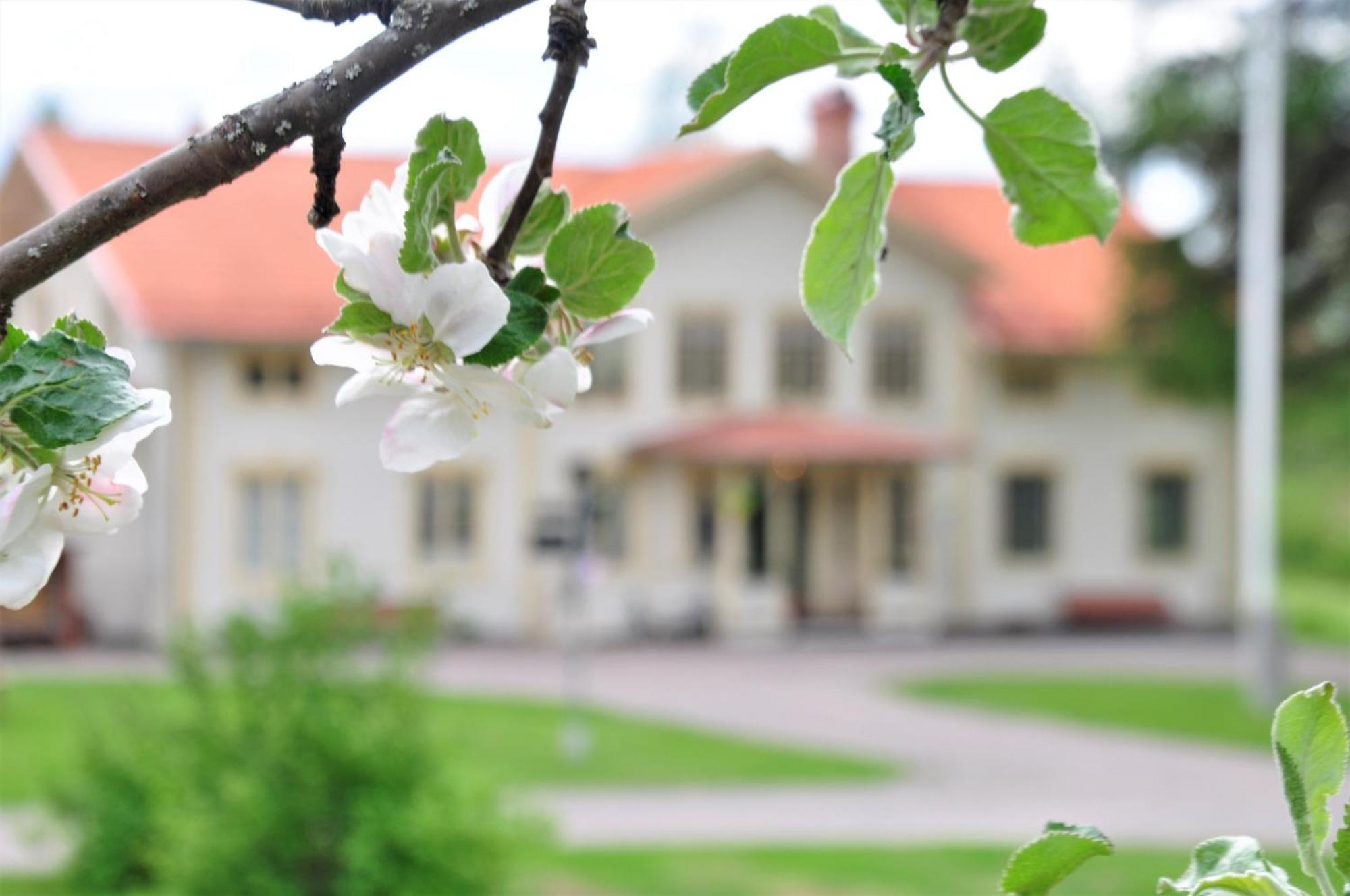 Snoea Bruk Hotell Och Konferens Dala-Jarna Εξωτερικό φωτογραφία